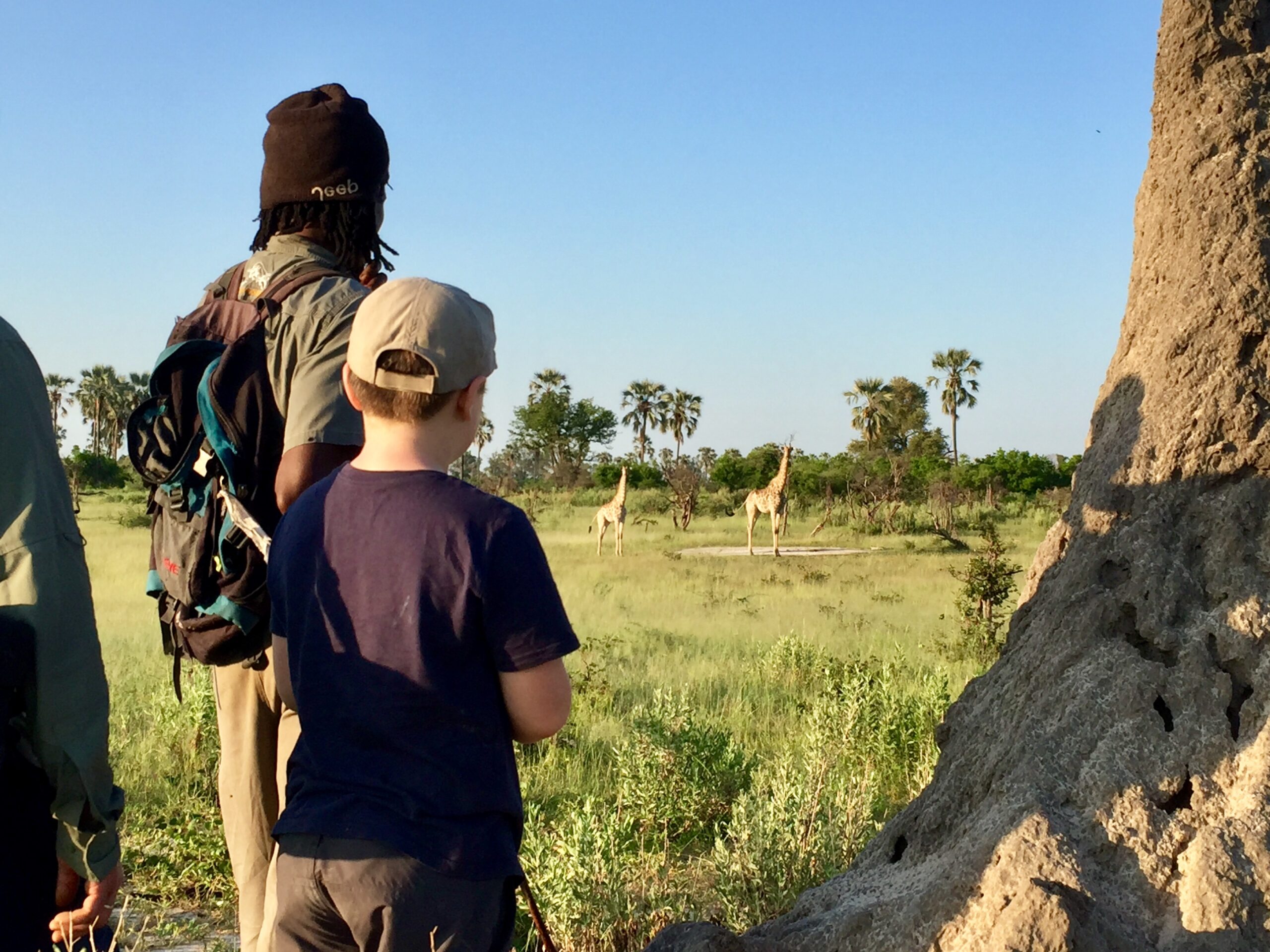The Okavango Delta on foot